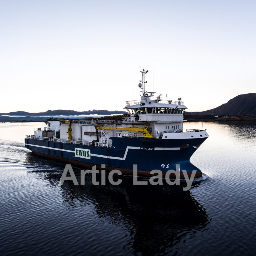 Arctic Lady