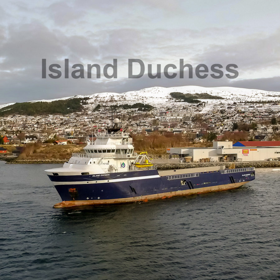Island Duchess