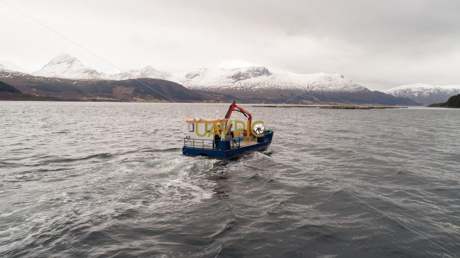 Oppdrettsfisk-6.jpg - Uavpic