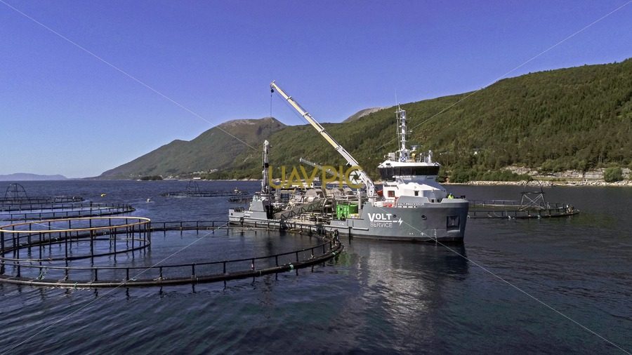 Volt Processor-3.jpg - Uavpic