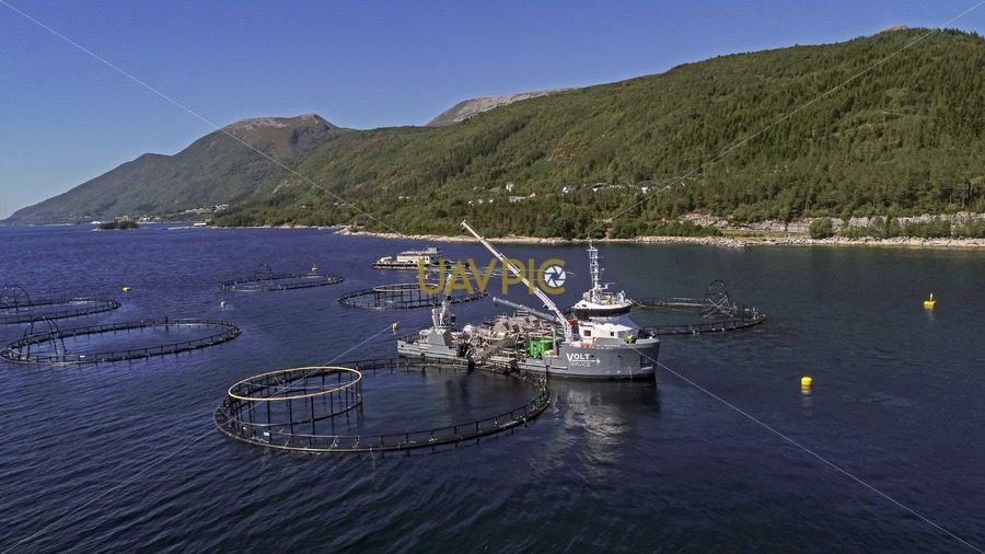 Volt Processor-4.jpg - Uavpic