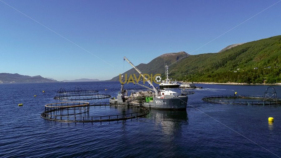 Volt Processor.jpg - Uavpic