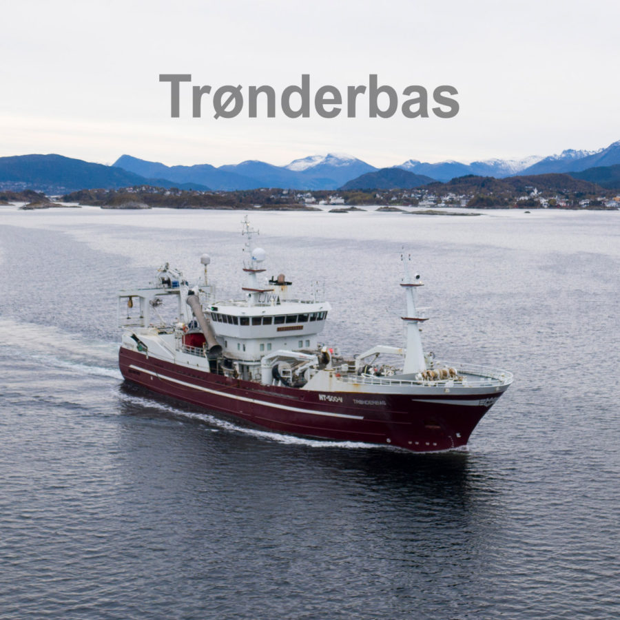 Trønderbas