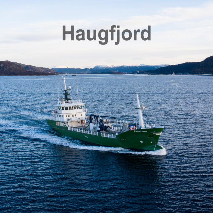 Haugfjord