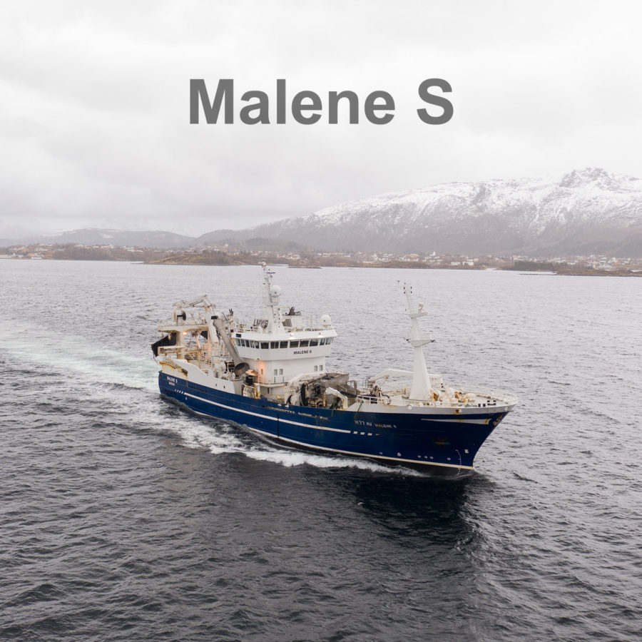 Malene S