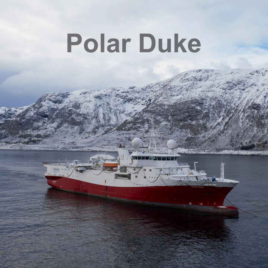 Polar Duke