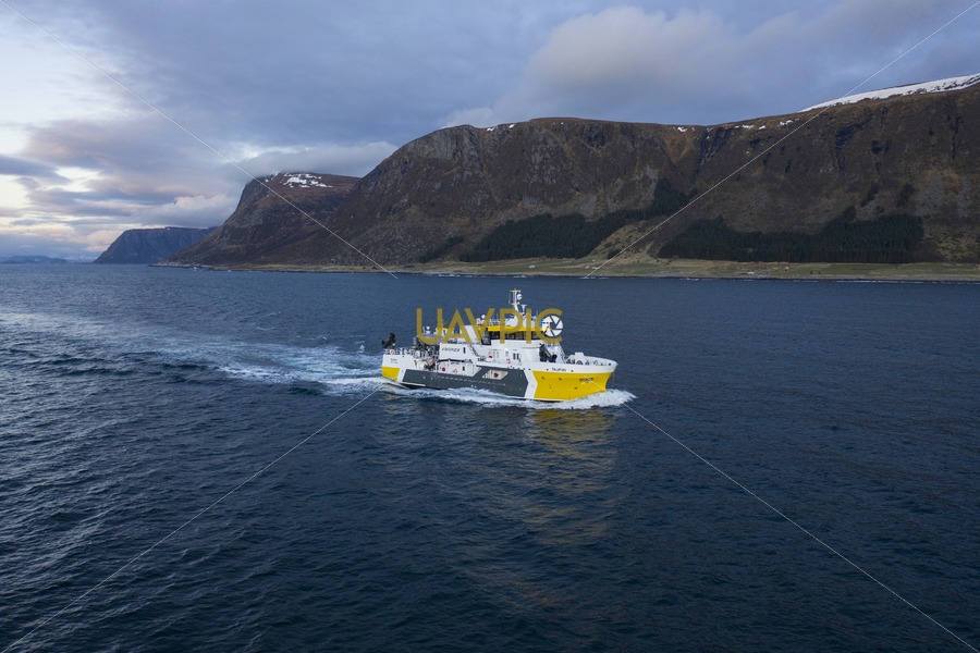 Taupiri 957.jpg - Uavpic