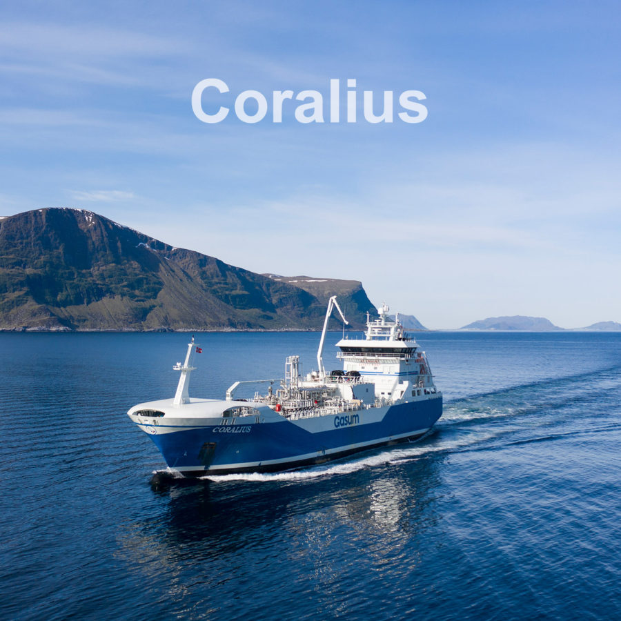 Coralius