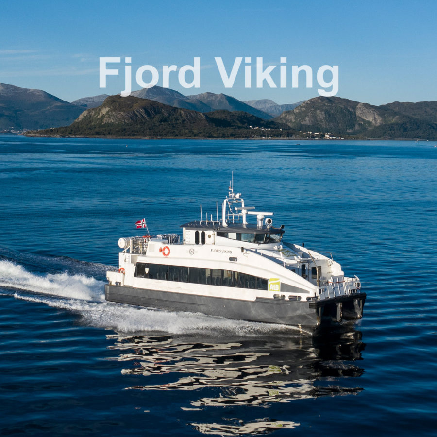 Fjord Viking