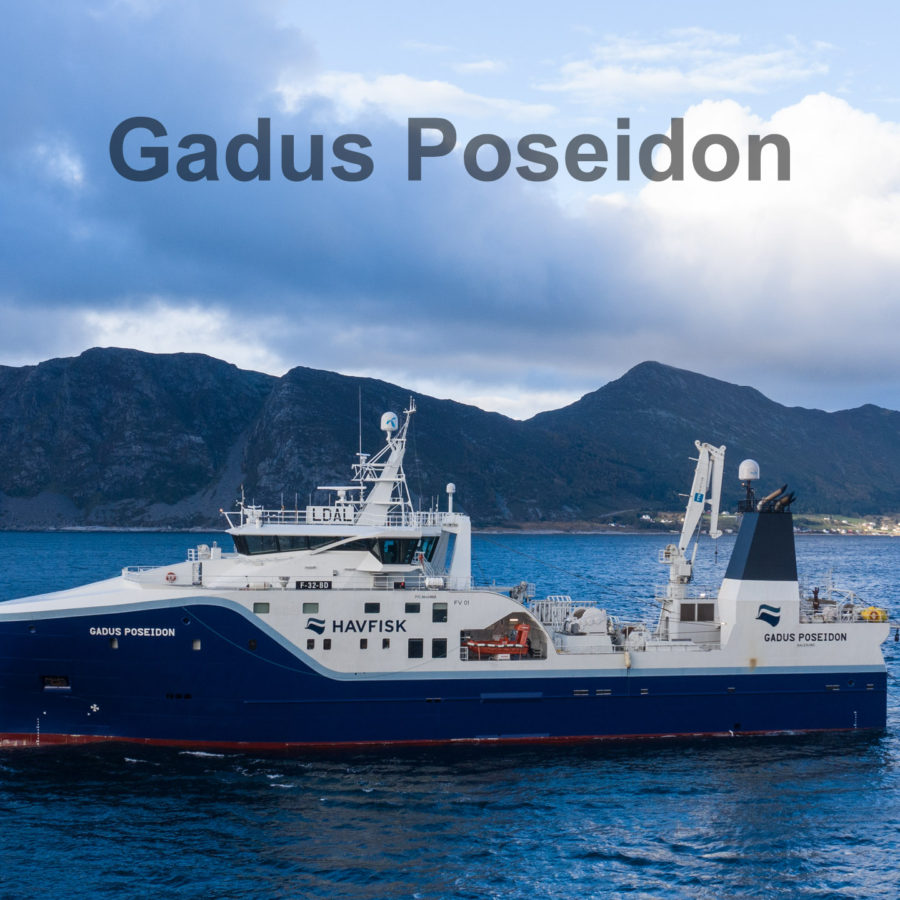 Gadus Poseidon