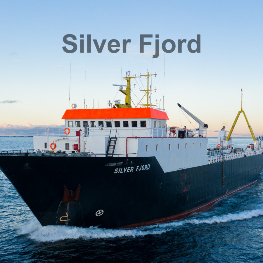 Silver Fjord