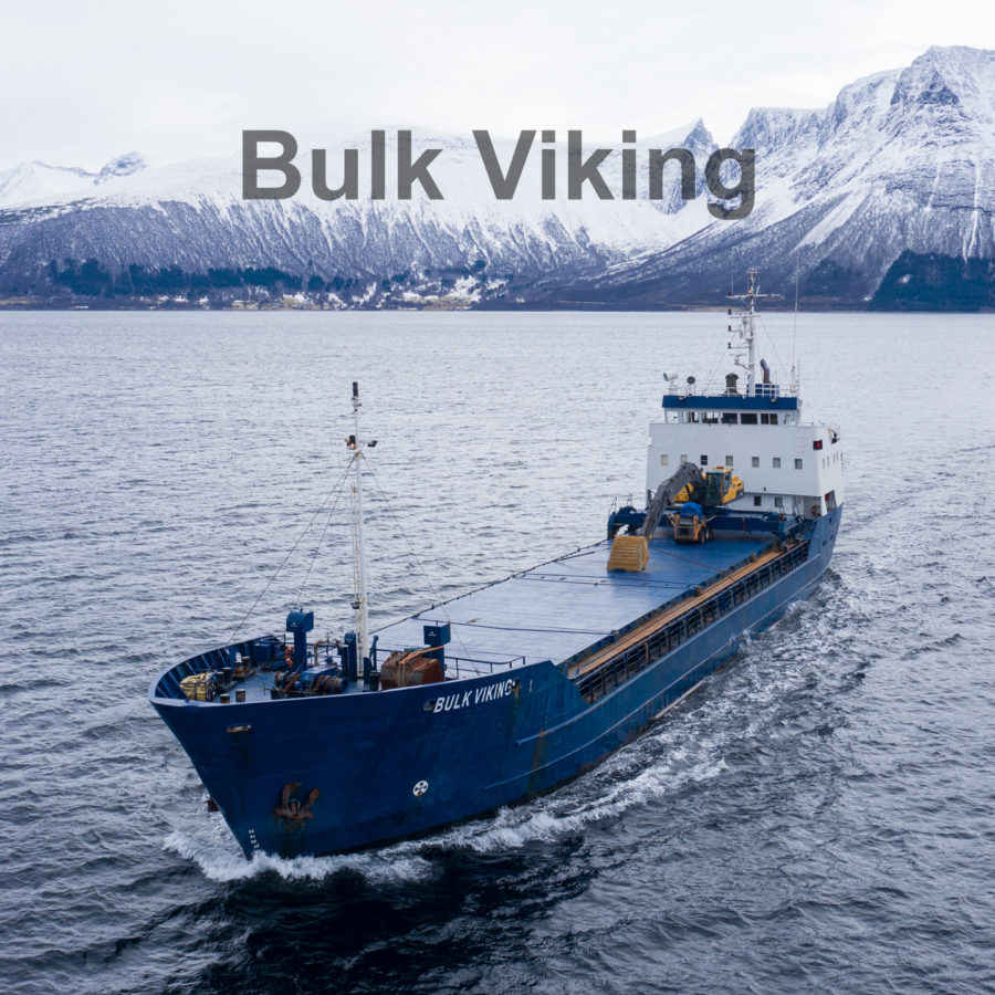 Bulk Viking
