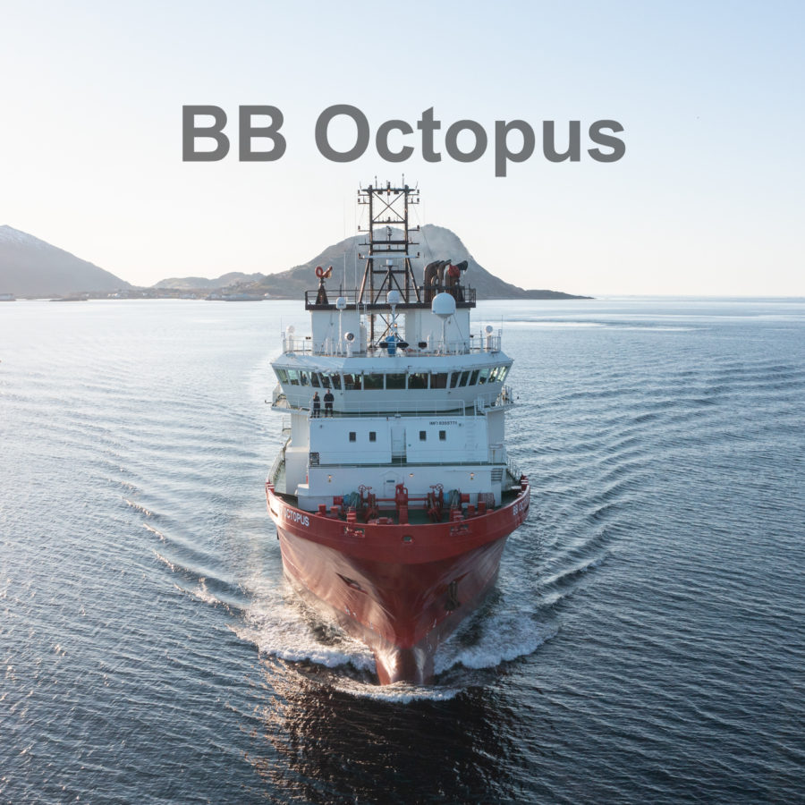 BB Octopus