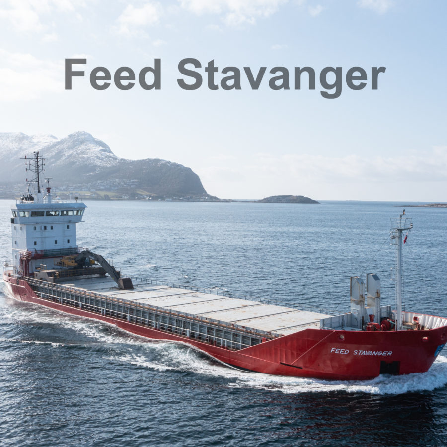 Feed Stavanger
