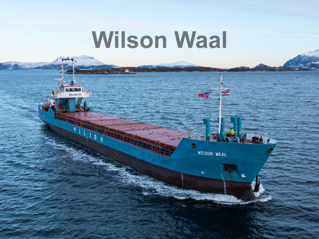 Wilson Waal