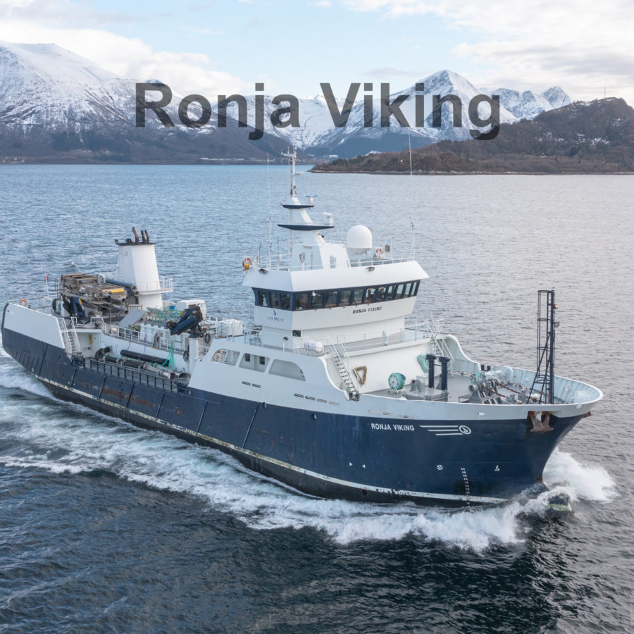 Ronja Viking