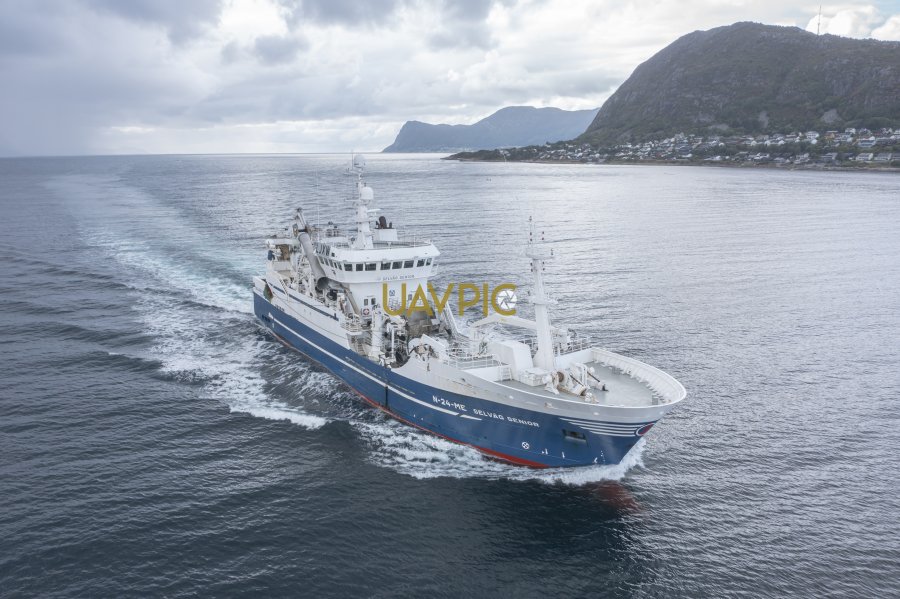 Selvåg Senior 959.jpg - Uavpic