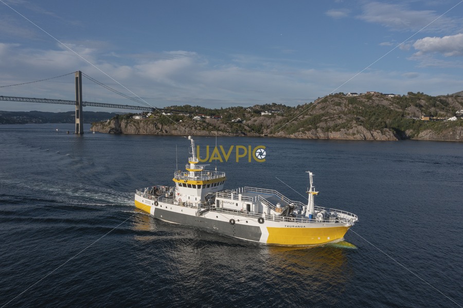 Tauranga 378.jpg - Uavpic