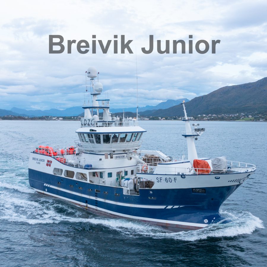 Breivik Junior