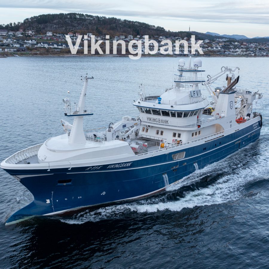 Vikingbank
