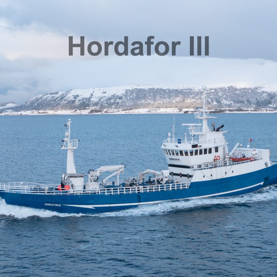 Hordafor III