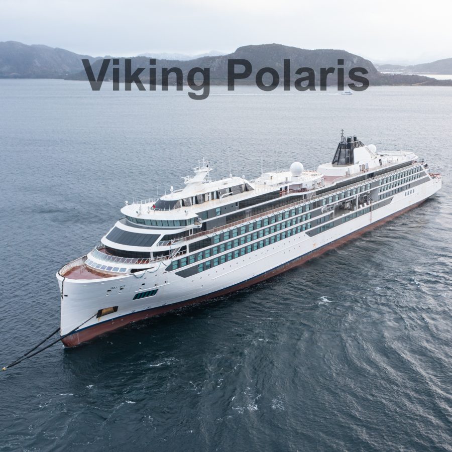 Viking Polaris