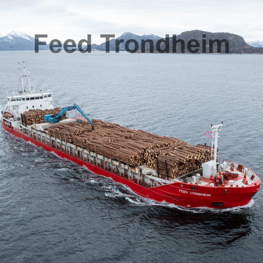 Feed Trondheim