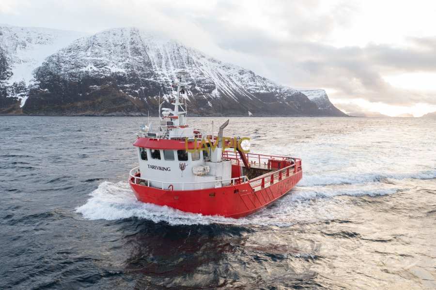 Tareviking 949.jpg - Uavpic