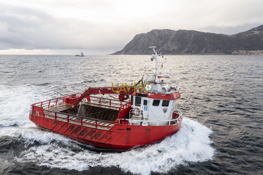 Tareviking 953.jpg - Uavpic