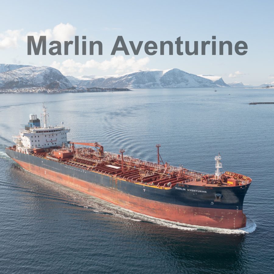 Marlin Aventurine