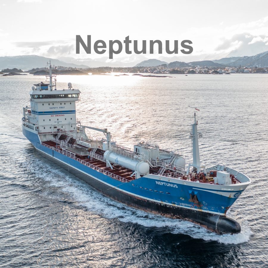 Neptunus
