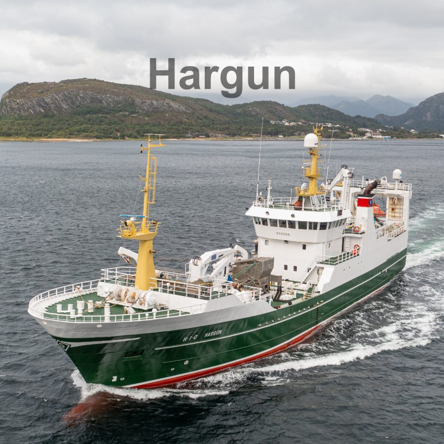 Hargun