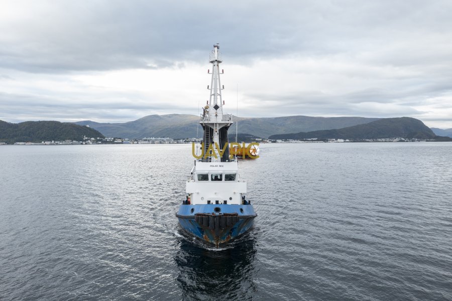 Polar Rex 537.jpg - Uavpic