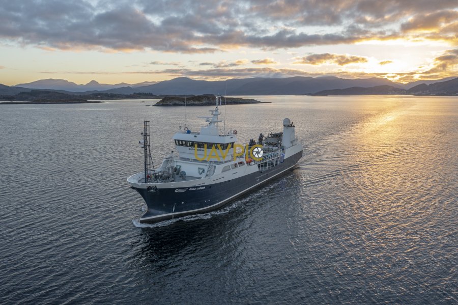 Ronja Carrier 567.jpg - Uavpic