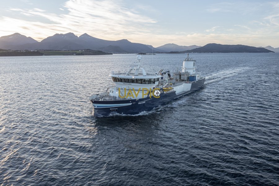 Ronja Queen 315.jpg - Uavpic