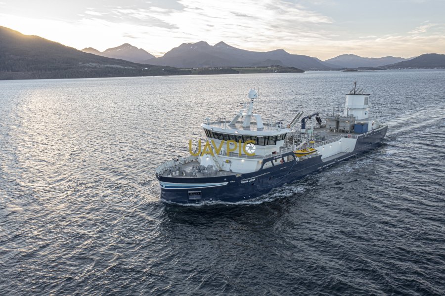 Ronja Queen 331.jpg - Uavpic