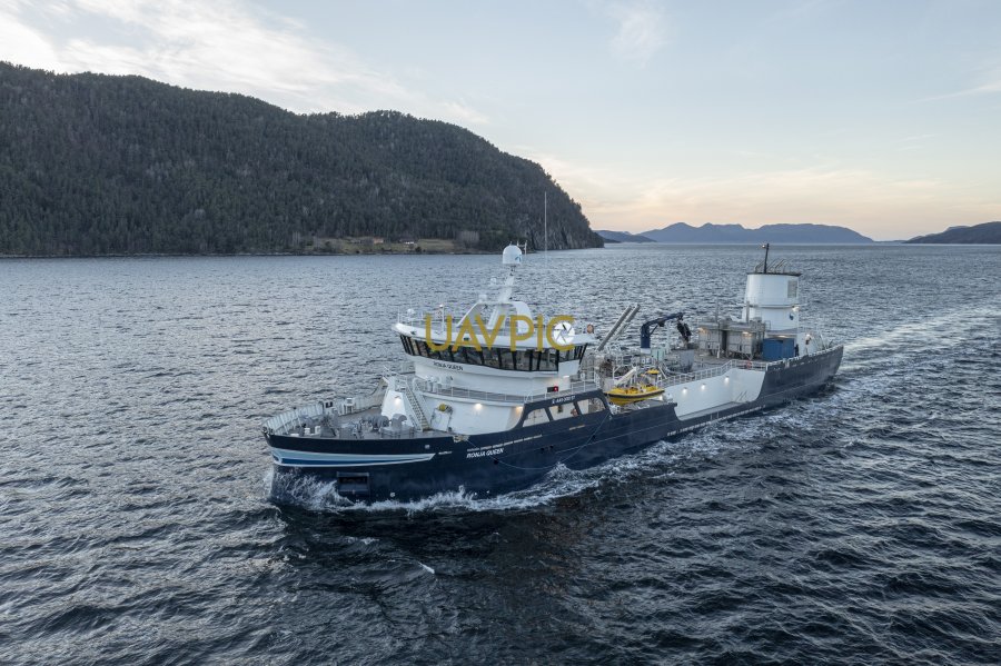 Ronja Queen 344.jpg - Uavpic