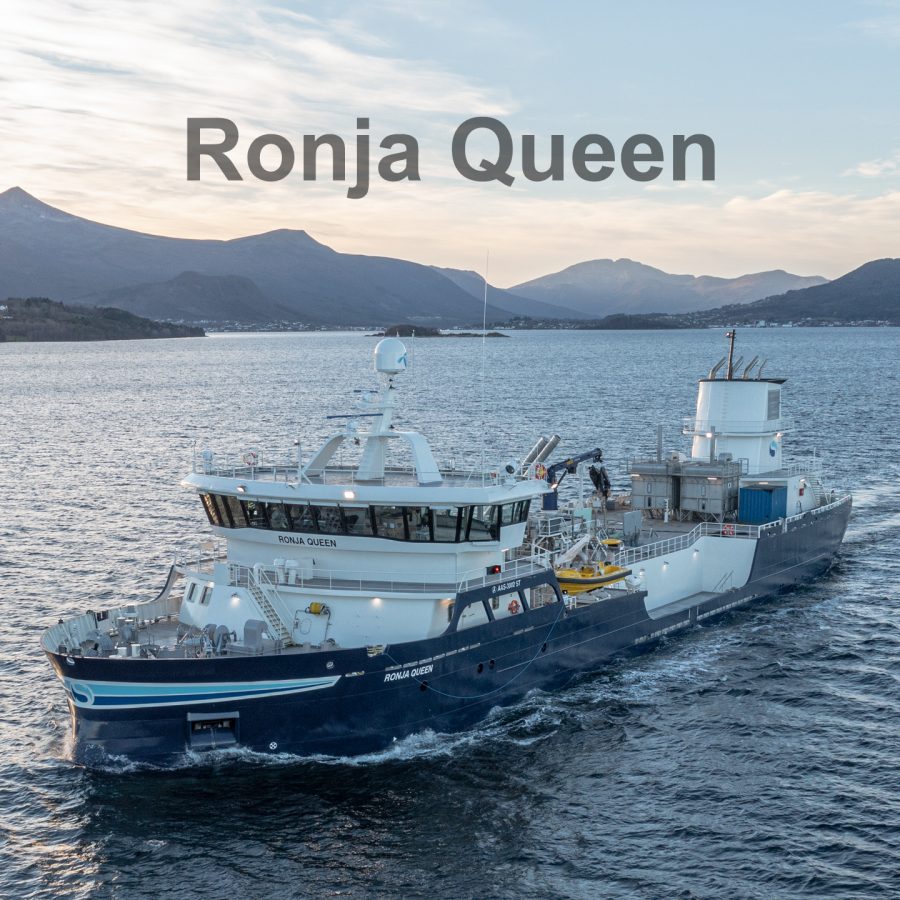 Ronja Queen