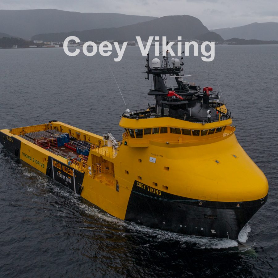 Coey Viking