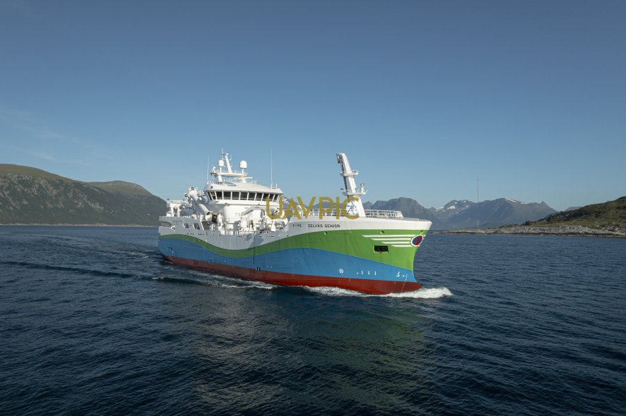 Selvåg Senior 475.jpg - Uavpic