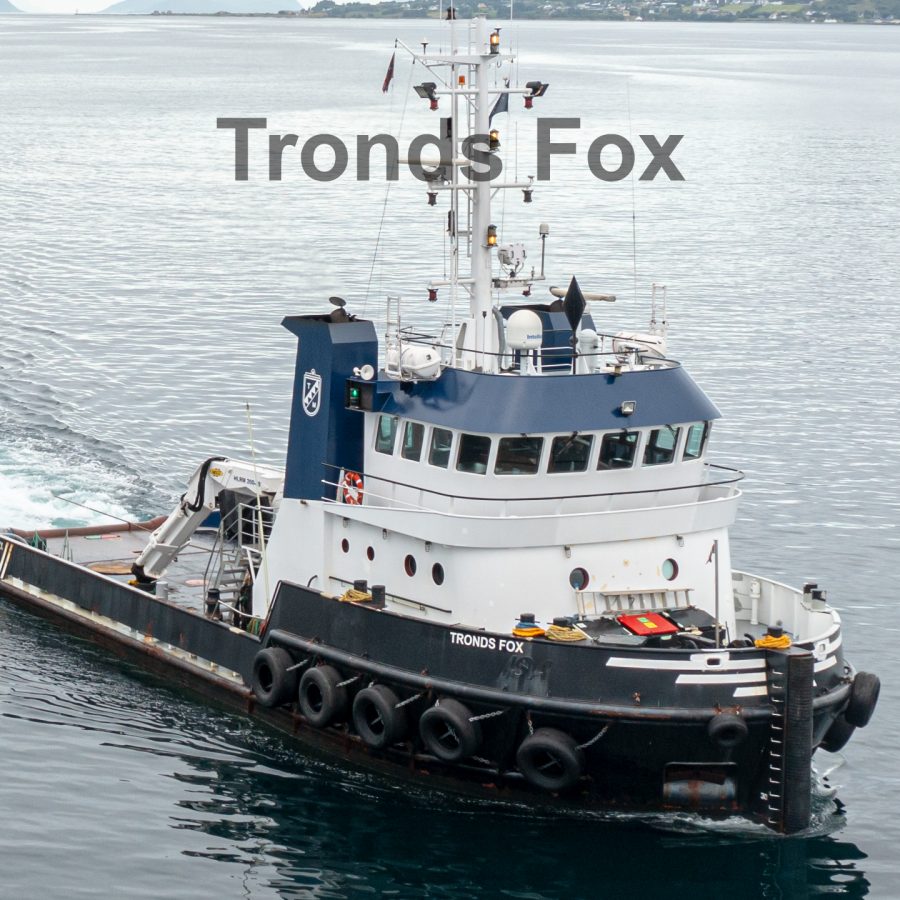 Trond Fox