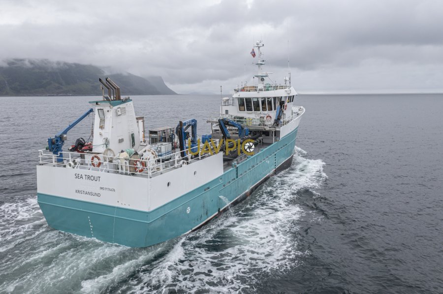 Sea Trout 474.jpg - Uavpic